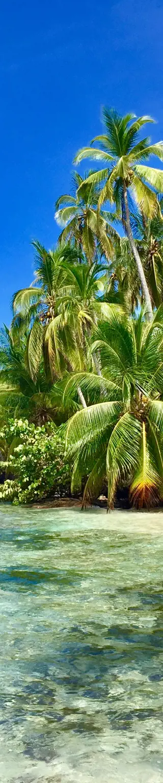 Auf einer einsamen Insel leben